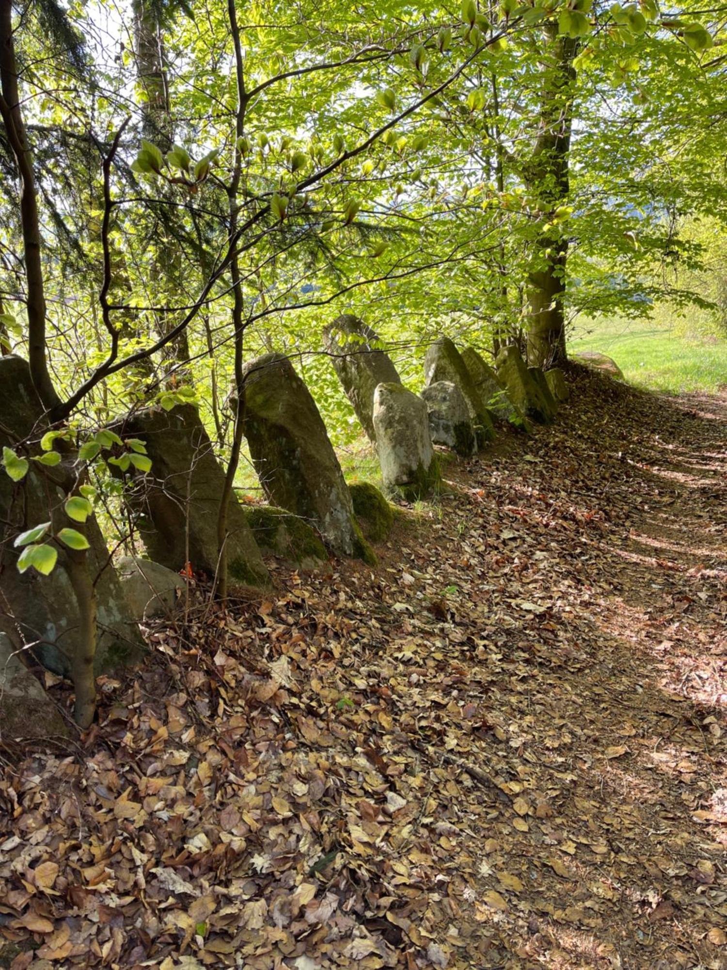 Chalupa U Broumovskych Sten Villa Božanov Buitenkant foto