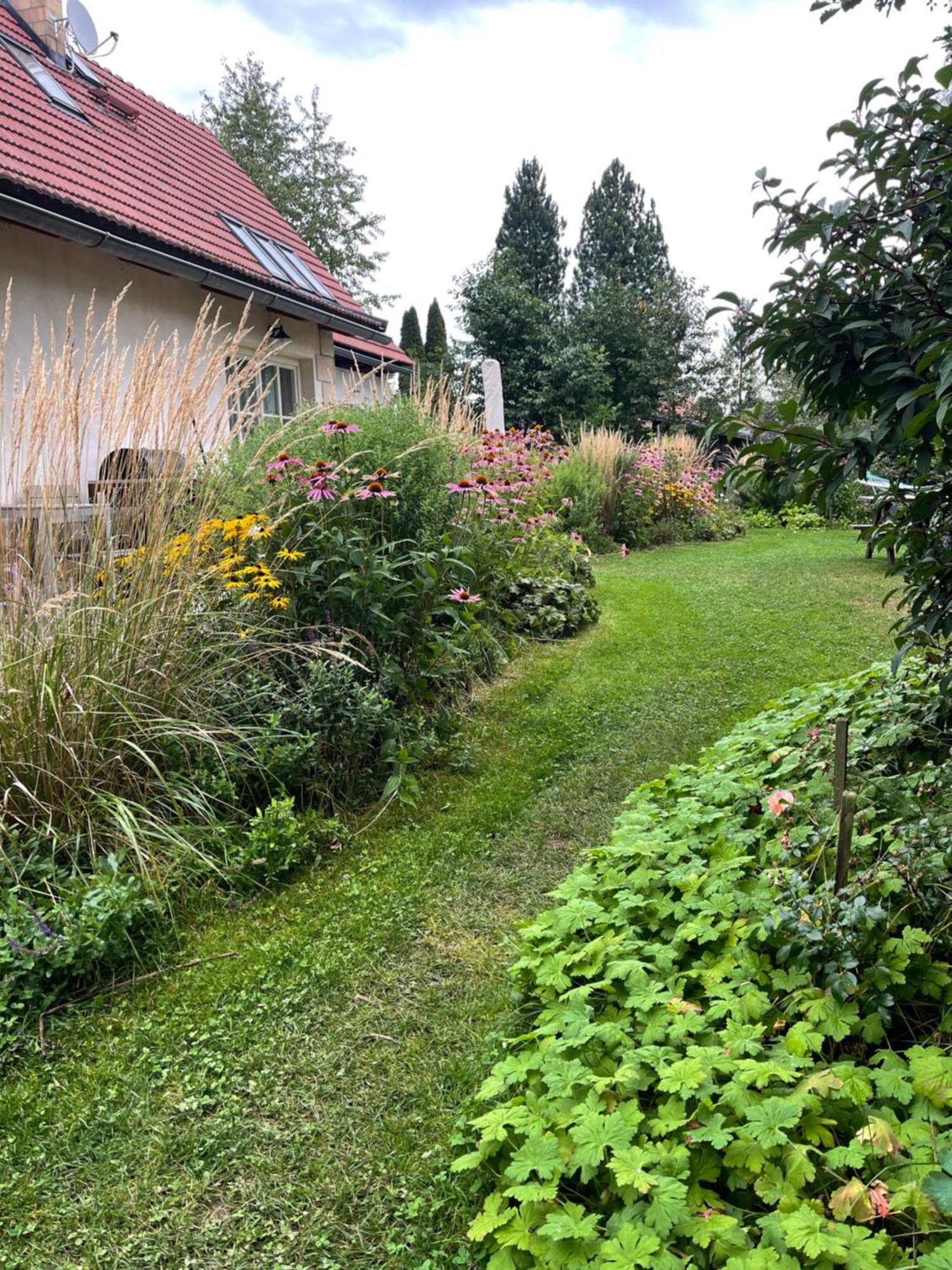 Chalupa U Broumovskych Sten Villa Božanov Buitenkant foto