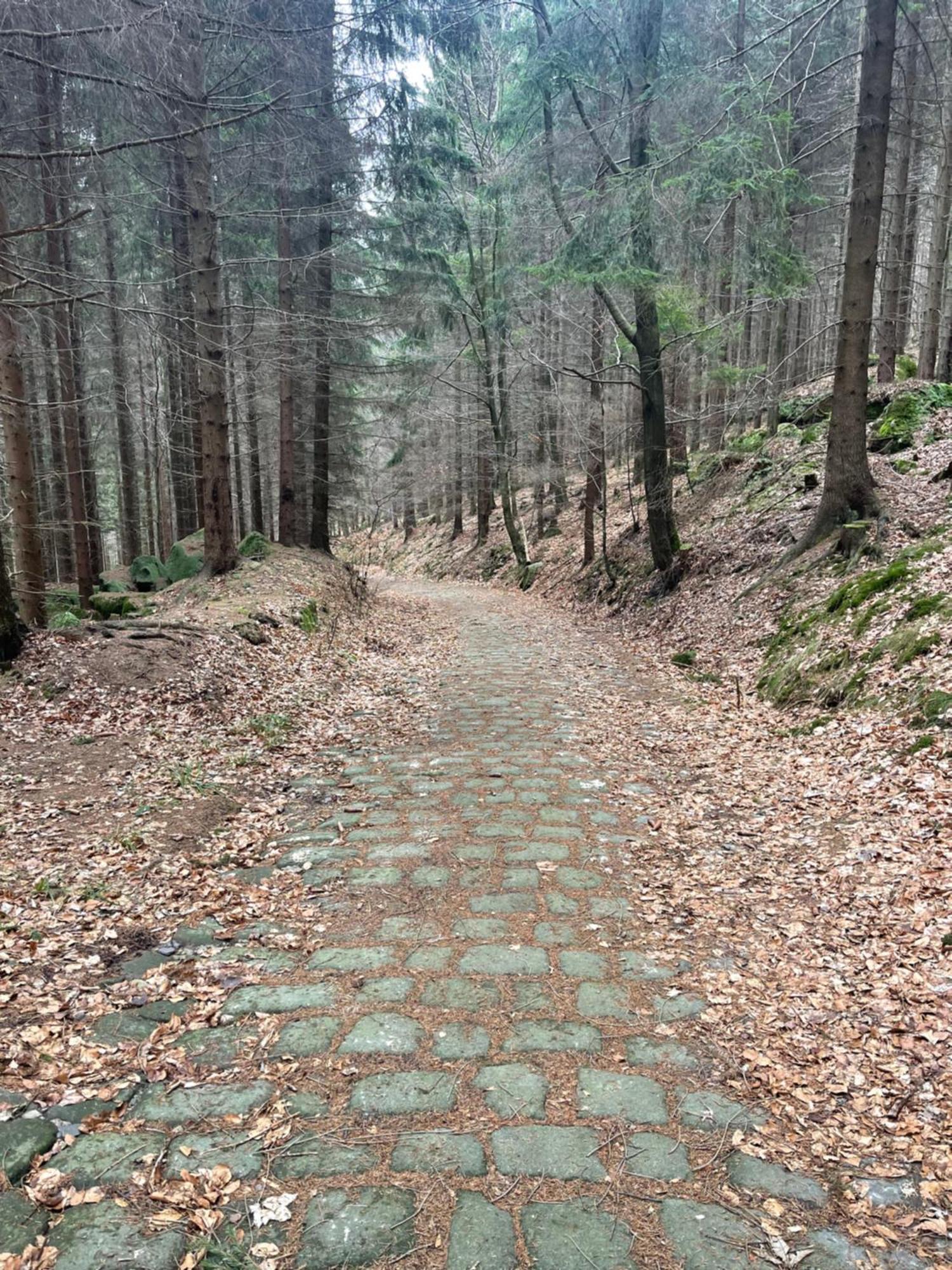 Chalupa U Broumovskych Sten Villa Božanov Buitenkant foto