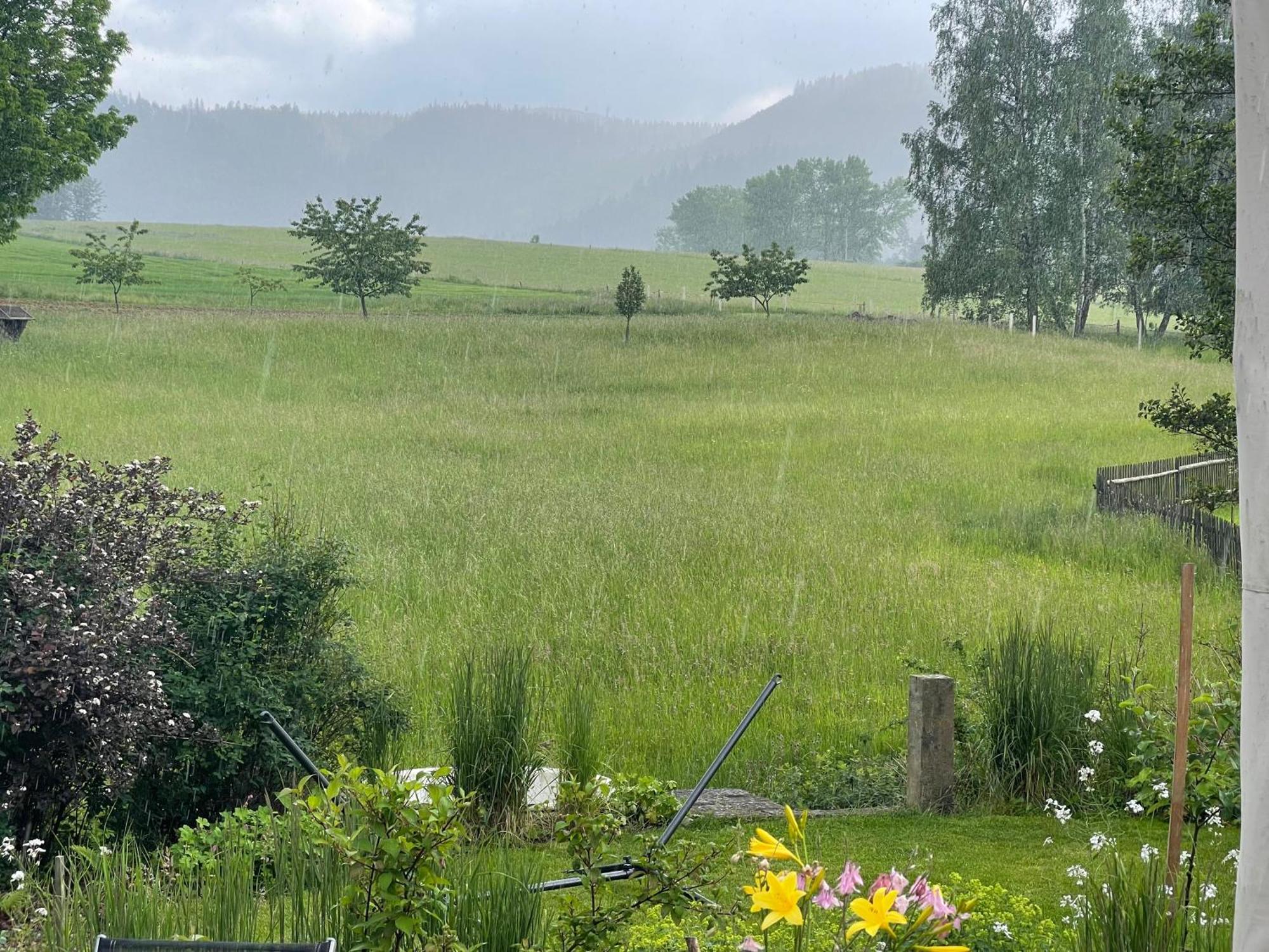 Chalupa U Broumovskych Sten Villa Božanov Buitenkant foto